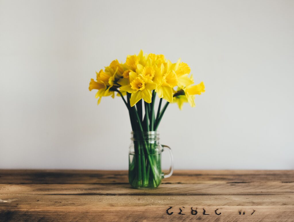 annie spratt gXQCELcnI2U unsplash - Your Ultimate Guide to Sweden - LikeSweden.com - How do people celebrate Easter in Sweden?