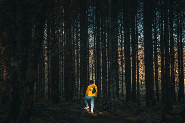 Fulltofta Naturreservat