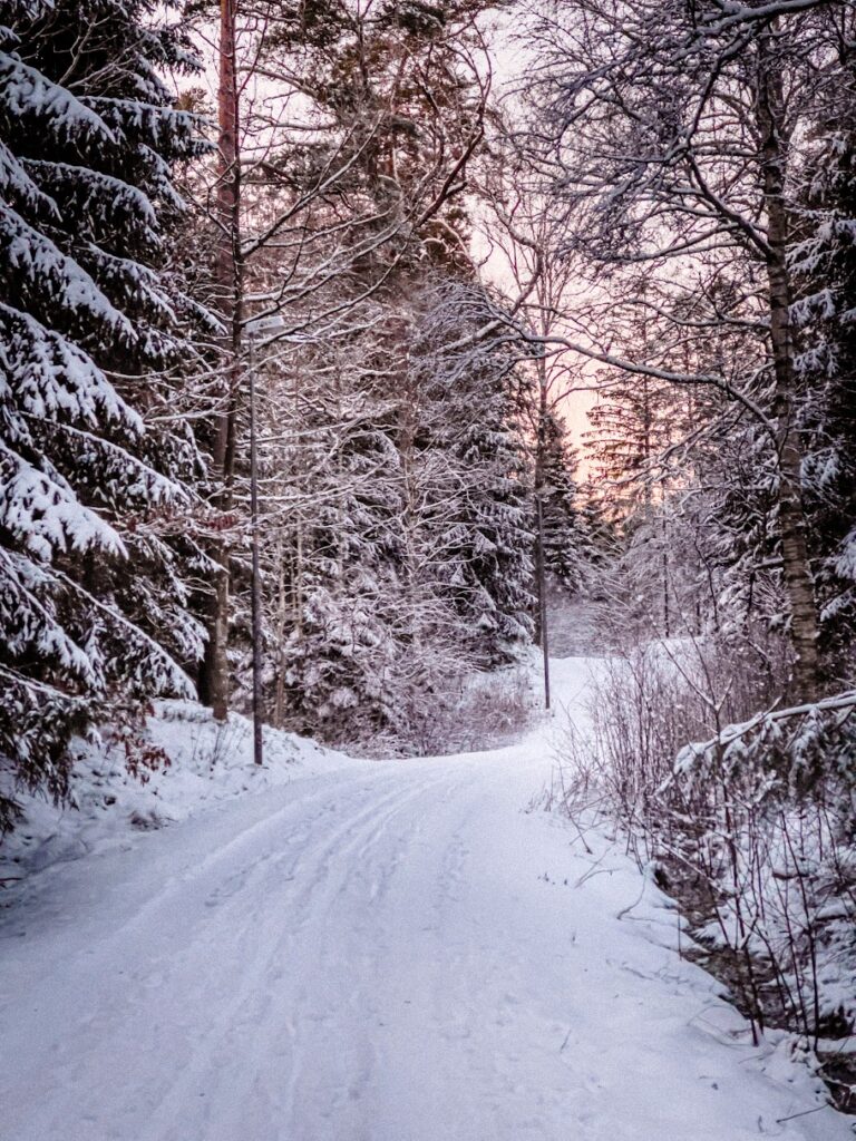 IMG 4615 - Your Ultimate Guide to Sweden - LikeSweden.com - Markaryd Hiking Trails: A Guide to Unforgettable Outdoor Experiences