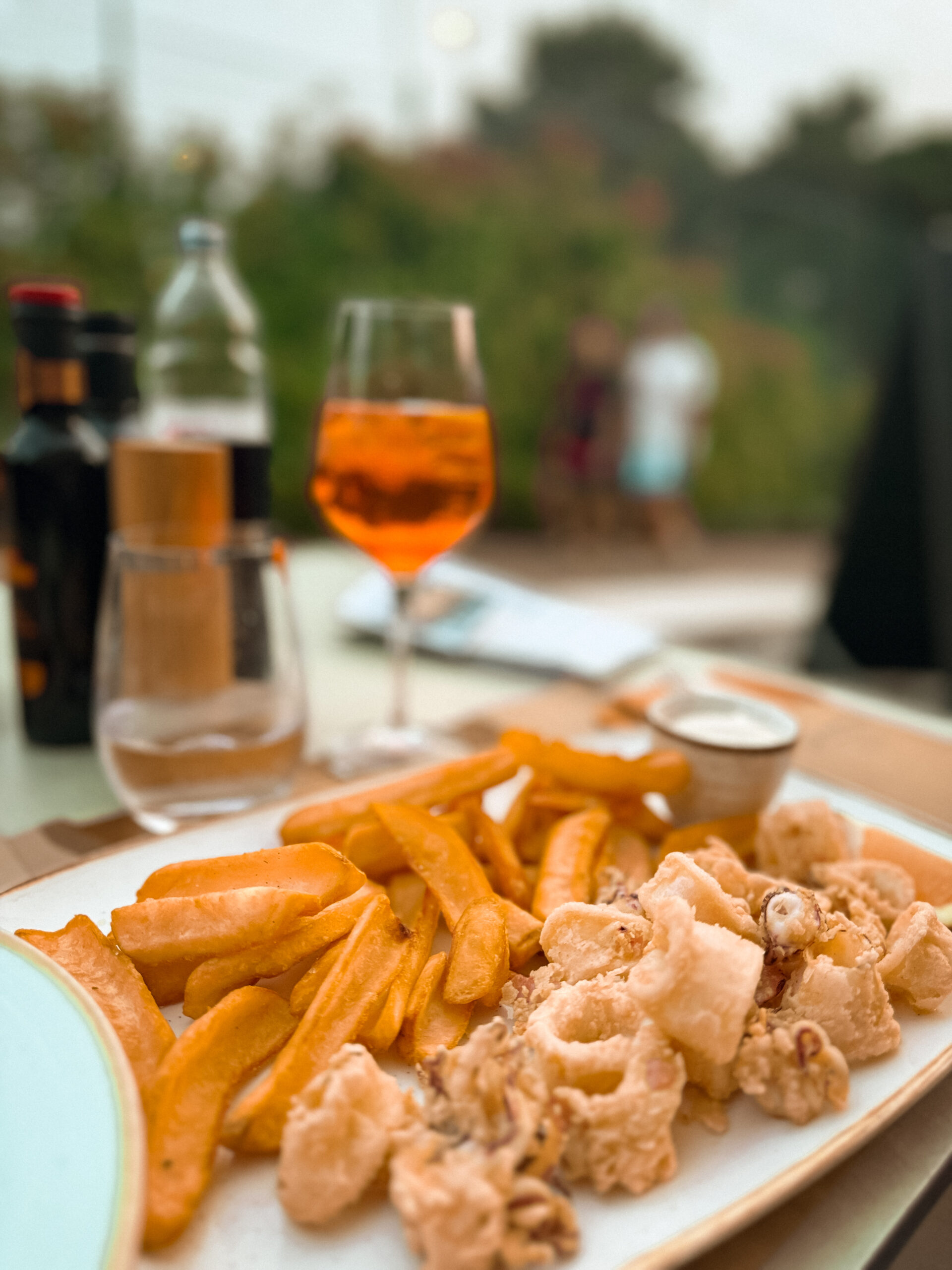 Calamari in Croatia 6 scaled - Your Ultimate Guide to Sweden - LikeSweden.com - Top 5 Calamari in Croatia – and One Big Disappointment