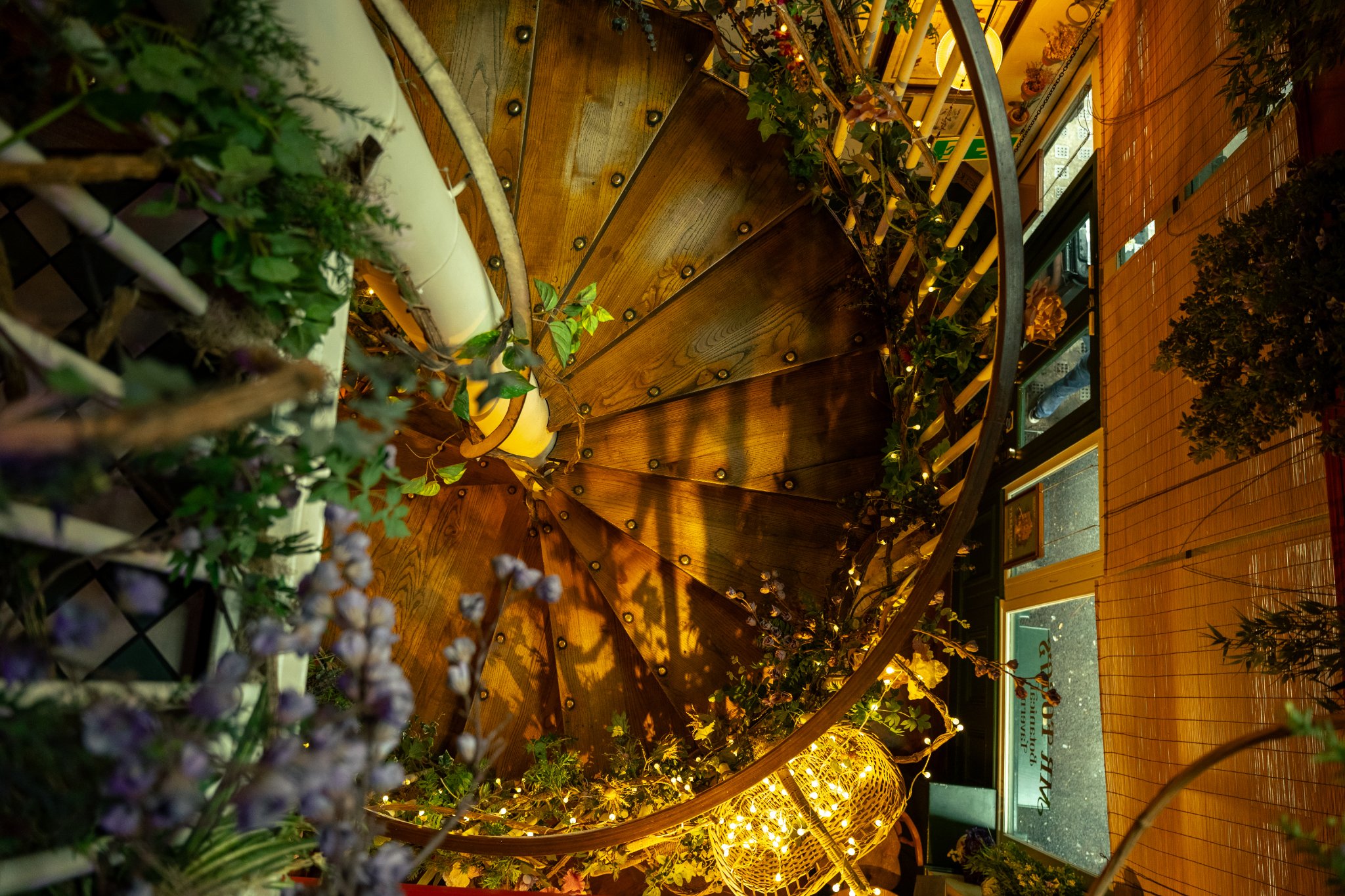 Mr Fogg’s Botanical Tavern - Interiors