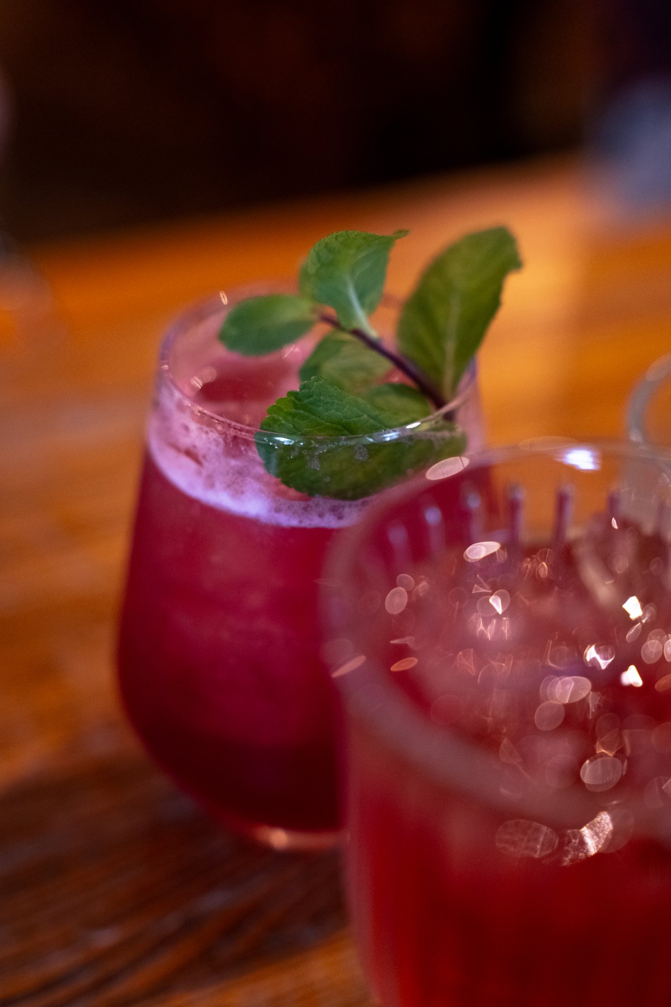 MarriedLenses 18 - Your Ultimate Guide to Sweden - LikeSweden.com - Mr Fogg’s Botanical Tavern Review: Iconic Cocktails, Solid Lunch