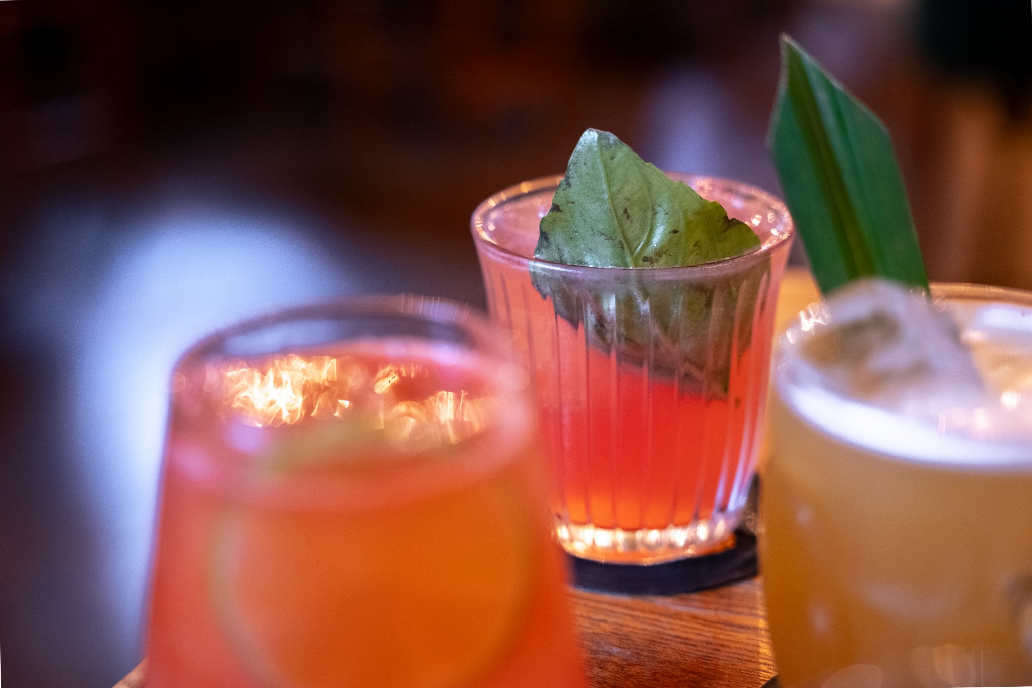 MarriedLenses 31 - Your Ultimate Guide to Sweden - LikeSweden.com - Mr Fogg’s Botanical Tavern Review: Iconic Cocktails, Solid Lunch