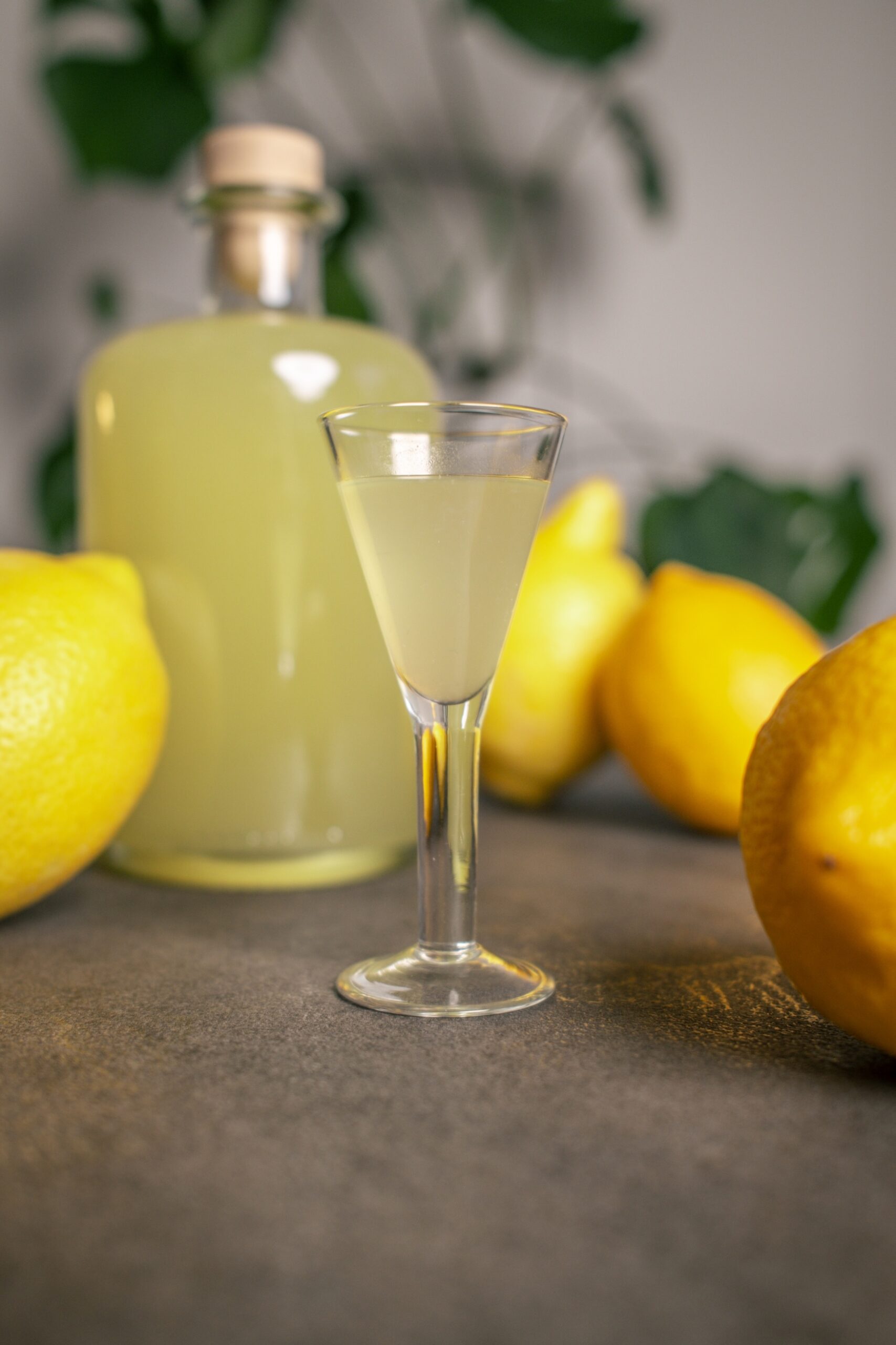 Citronsnaps